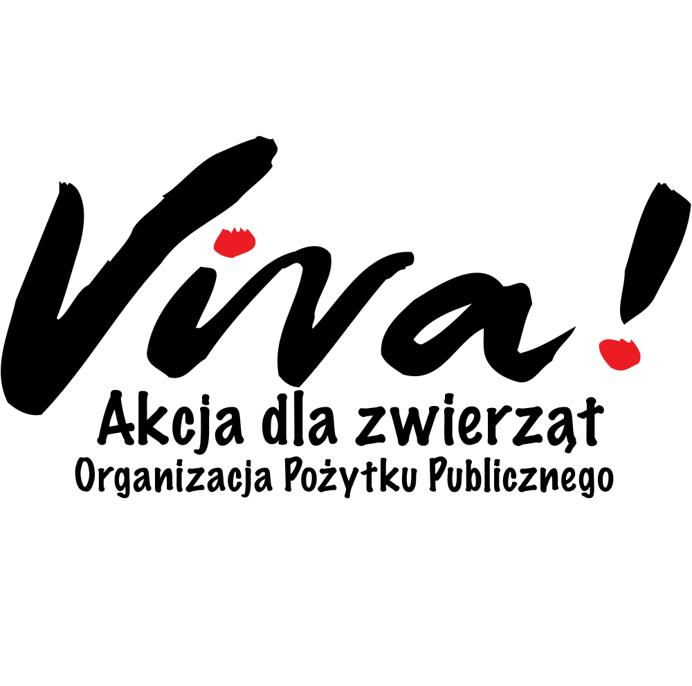 viva-logo2
